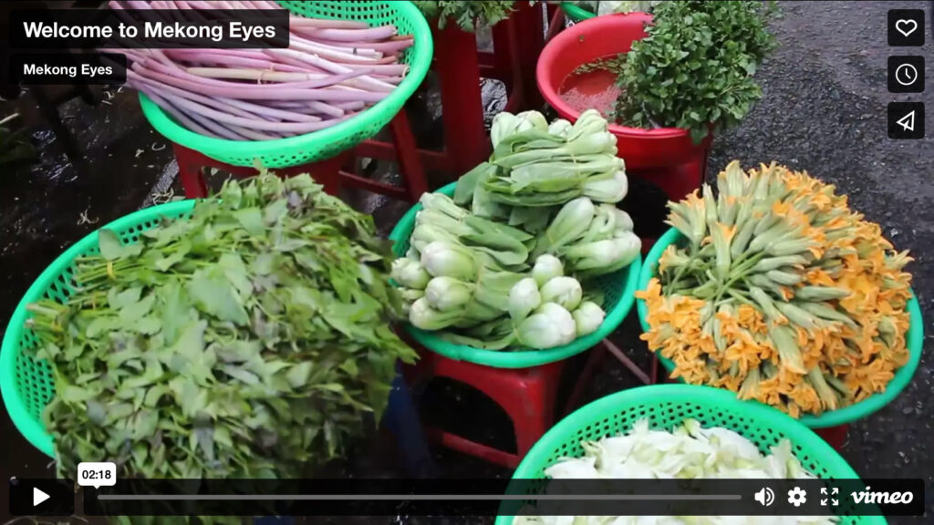 short mekong delta tour